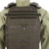 5ive Star Gear Bodyguard Plate Carrier