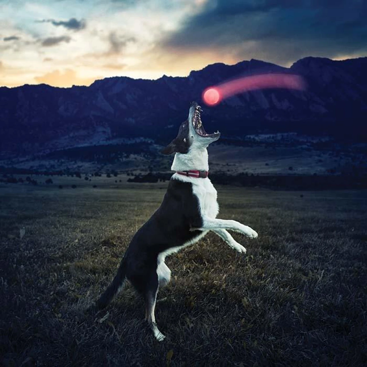 Nite Ize GlowStreak LED Ball Red - Image 5