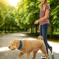 Nite Ize RadDog All-In-One Collar + Leash