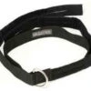 RIPP Restraints 2" D Ring Transport Belt
