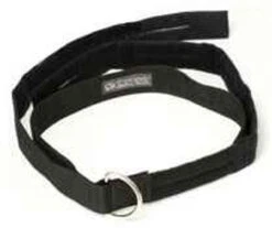 RIPP Restraints 2" D Ring Transport Belt