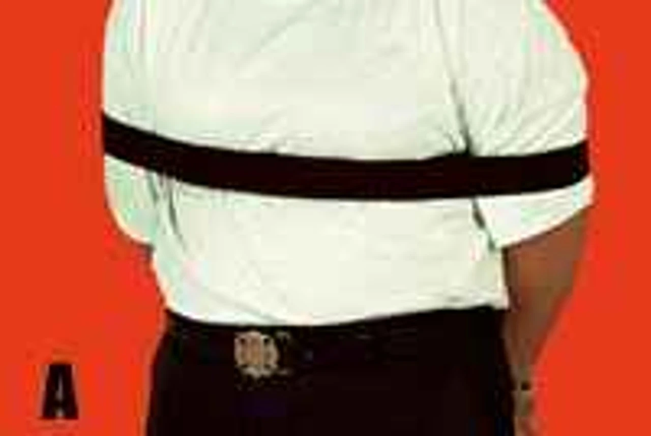 RIPP Restraints Arm & Ankle Restraints