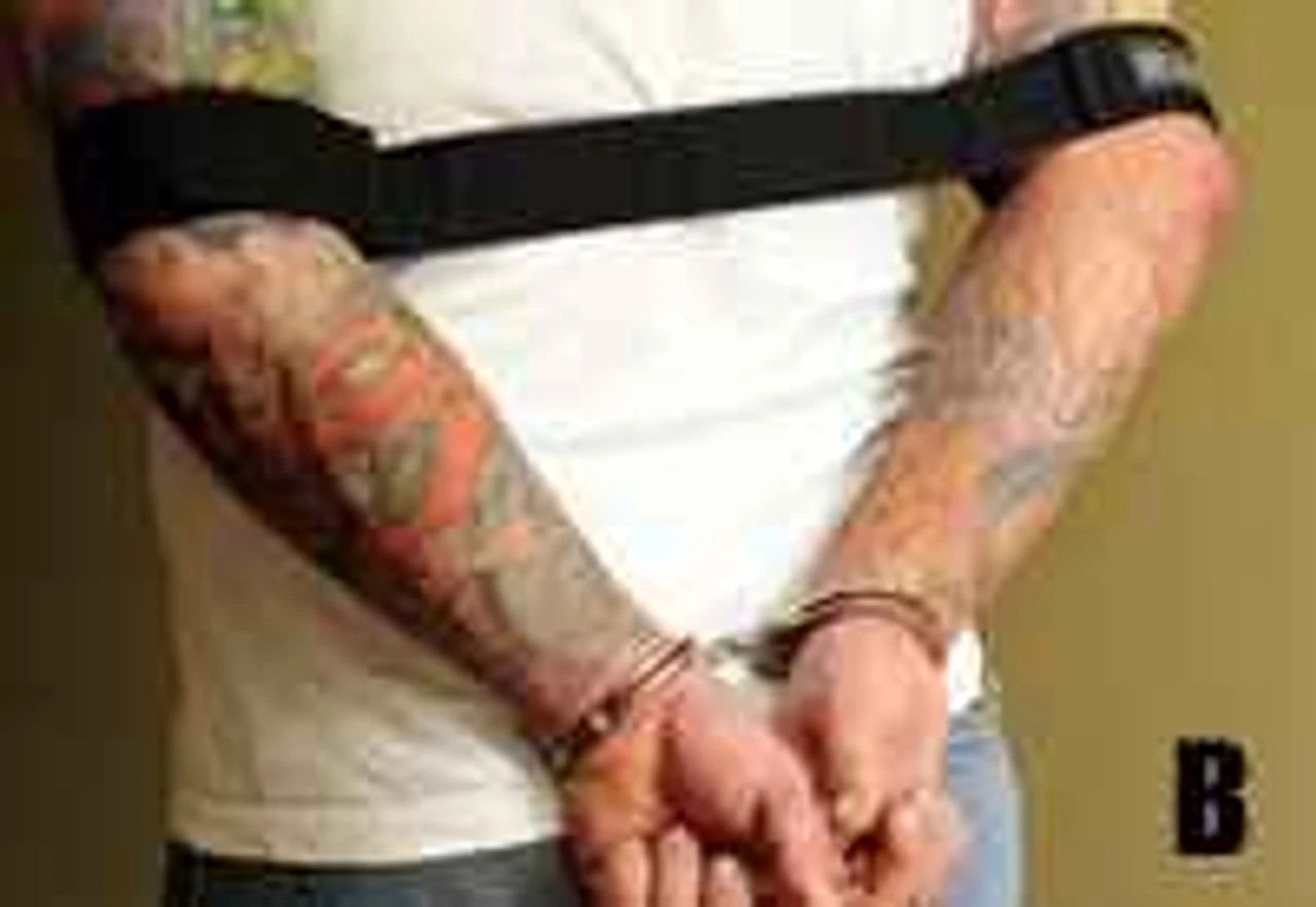 RIPP Restraints Arm & Ankle Restraints - Image 2