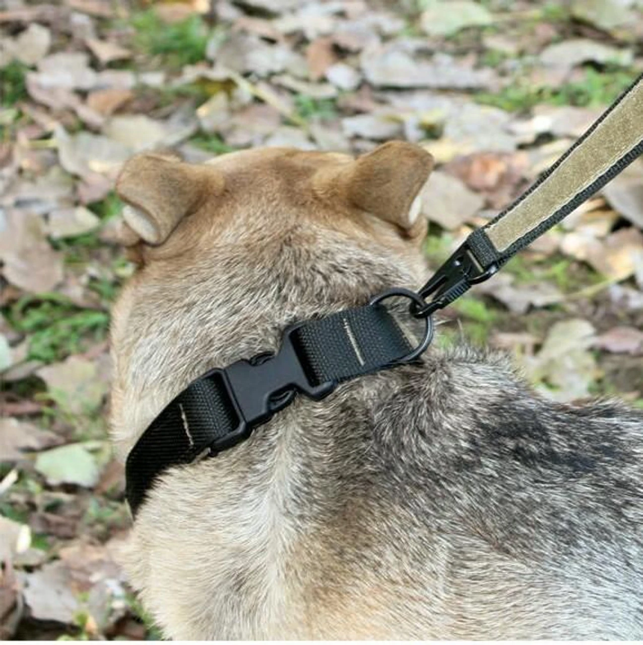 United States Tactical Quick Release Buckle K9 Collar - Image 6