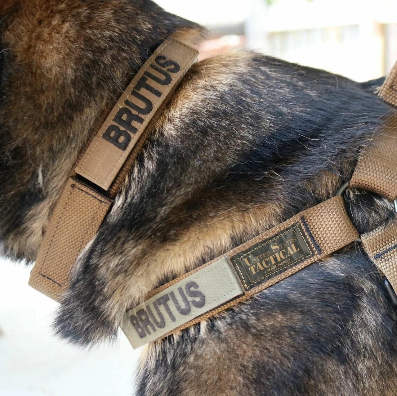 United States Tactical Quick Release Buckle K9 Collar - Image 5